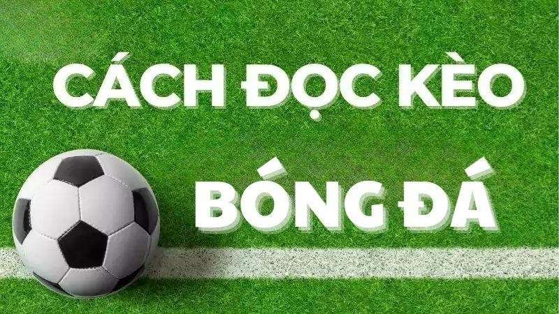 Bóng Đá 686 Hướng Dẫn Đọc Tỷ Lệ Kèo Bóng Đá Từ Cơ Bản Đến Ví Dụ Thực Tế 1 cac dong keo bong da 686
